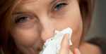 Pollensæsonen er skudt igang - først hassel, el og elm, så birk inden græs tager over. Pollensæsonen afsluttes af bynke i august-september